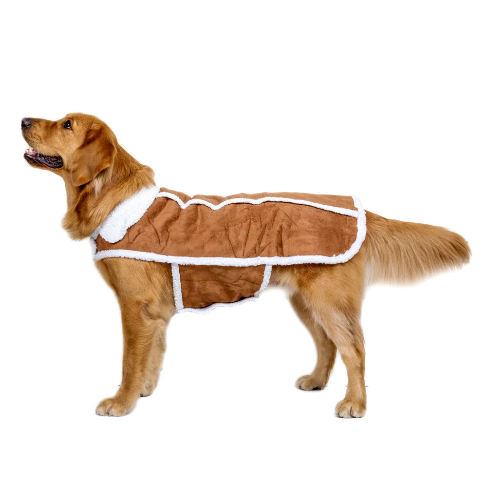 Fashionable Simple Pet Vest for Autumn and Winter