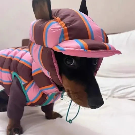Pet Striped Vest