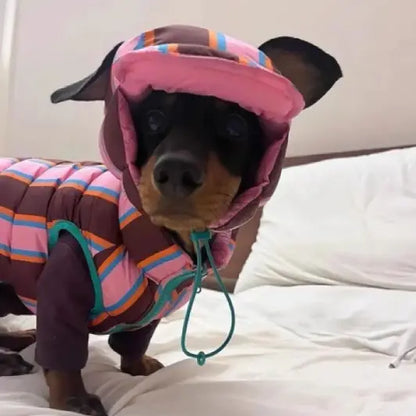 Pet Striped Vest