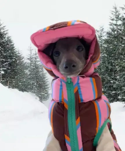 Pet Striped Vest