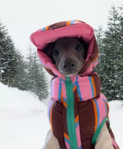 Pet Striped Vest