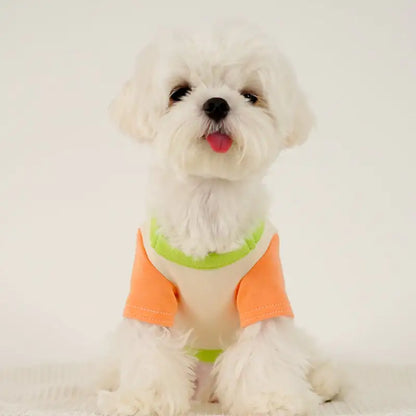 Puppy Dog Color Clash Home Wear Bottom Shirt