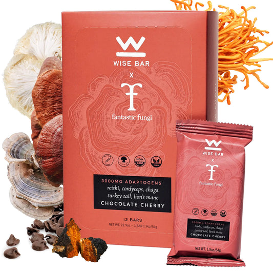 Wise Bar Adaptogen Mushroom Nutrition Bars | Chocolate Cherry Flavor | 12 Count | Functional Mushrooms and Adaptogens Bar | Organic Nutrition Energy Bars Vegan Gluten Free